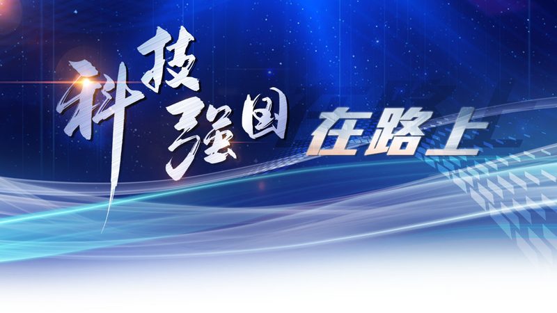 SaaS平台订阅费背后的考量因素